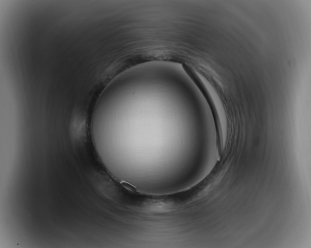 X0000099950597200805301237