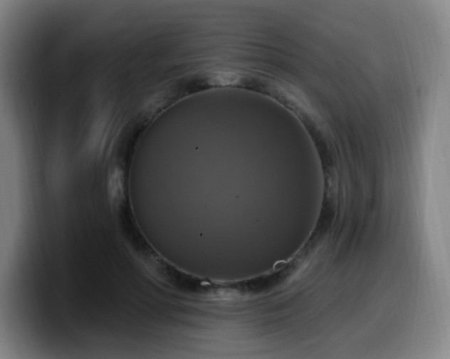 X0000099950598200805301237