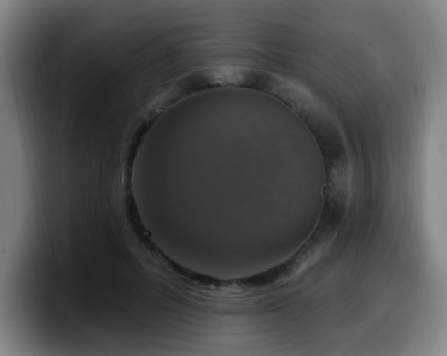 X0000099950600200805301237