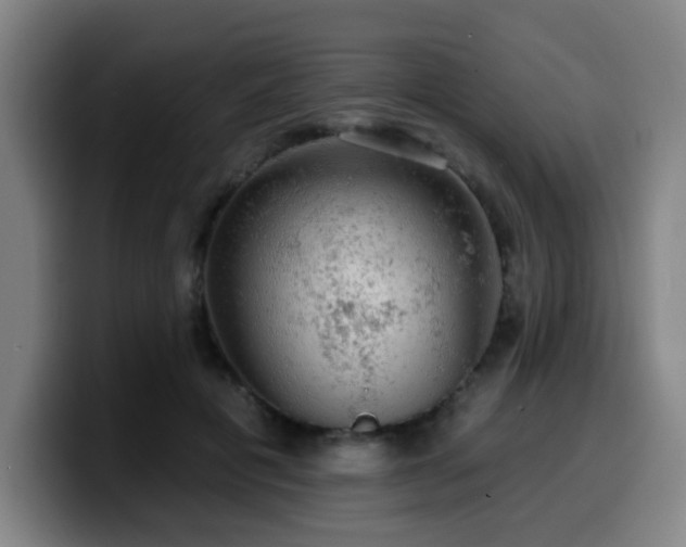 X0000099950601200805301237
