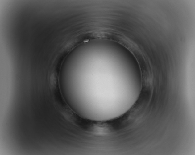 X0000099950603200805301237