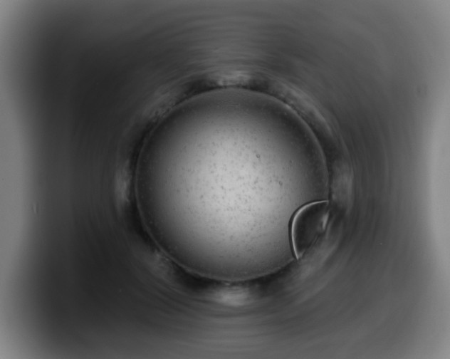 X0000099950604200805301237
