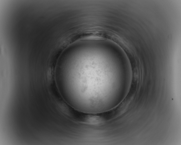 X0000099950605200805301237