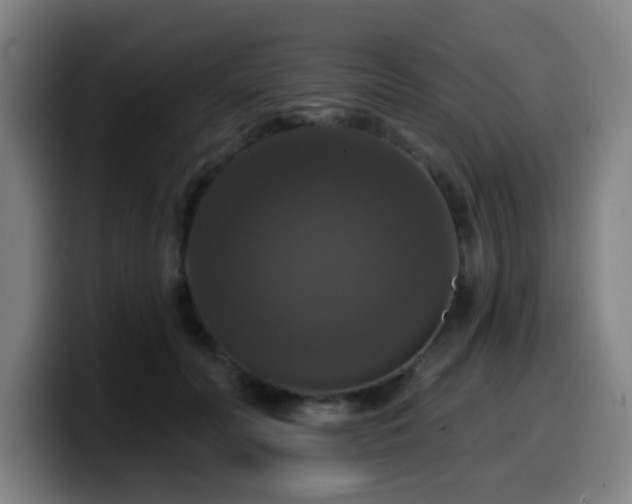 X0000099950606200805301237