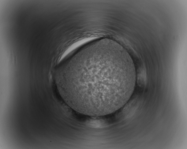 X0000099950608200805301237