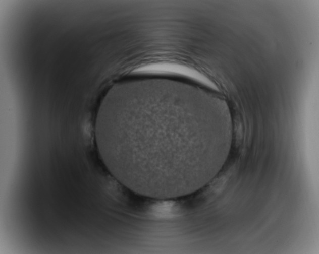 X0000099950609200805301237
