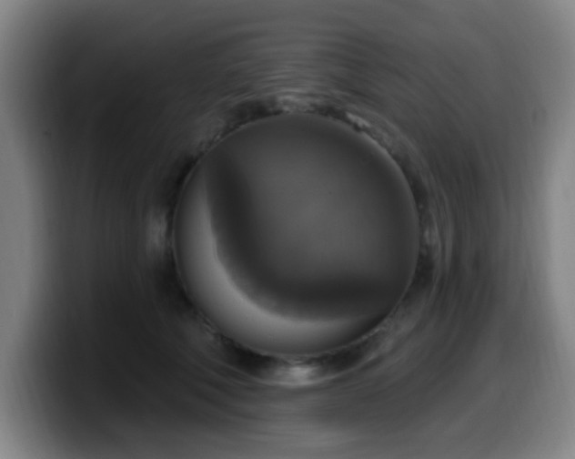 X0000099950610200805301237