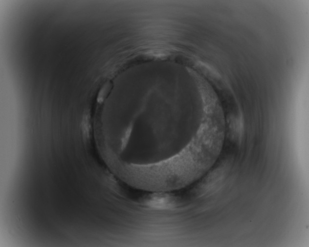 X0000099950612200805301237