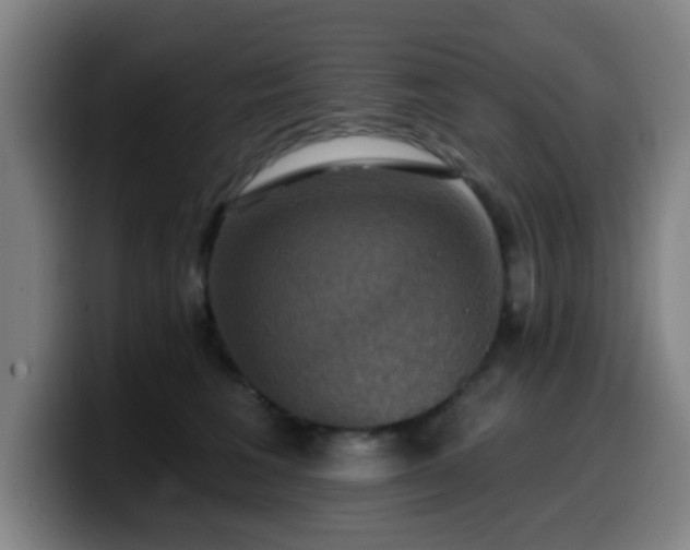 X0000099950613200805301237