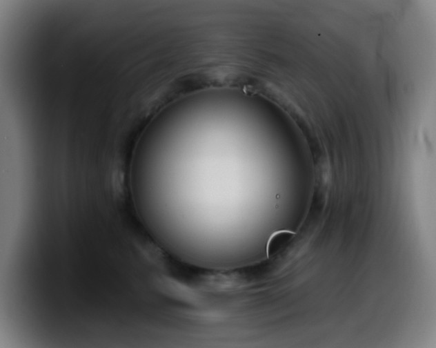 X0000099950615200805301237
