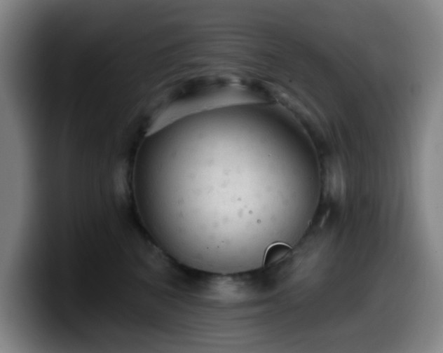 X0000099950616200805301237