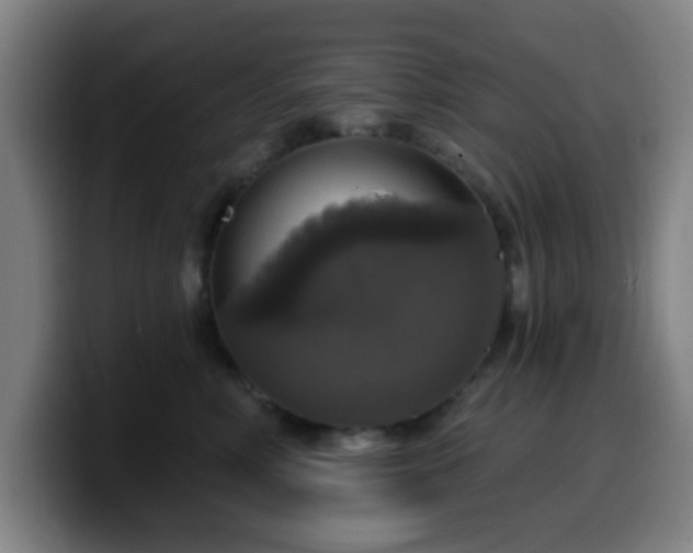 X0000099950618200805301237