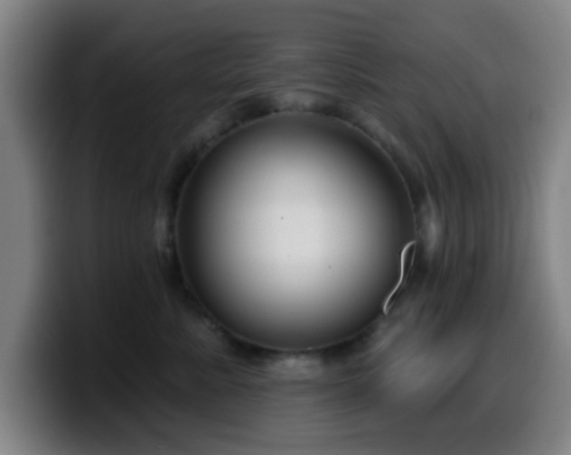 X0000099950619200805301237