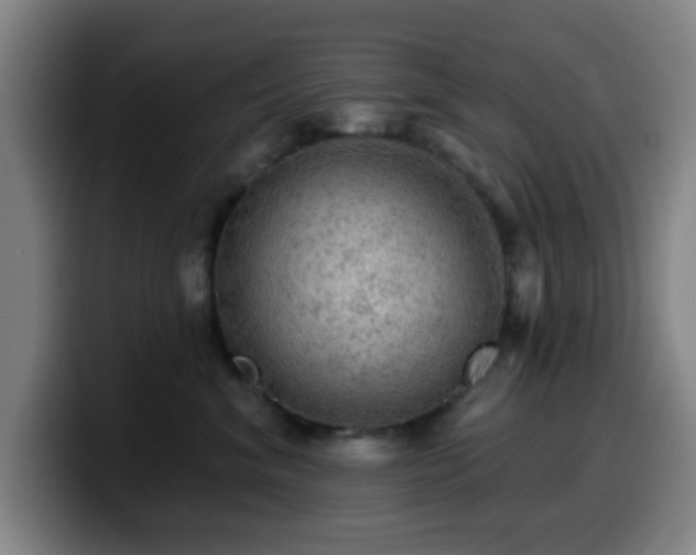 X0000099950620200805301237