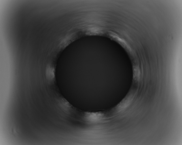 X0000099950621200805301237