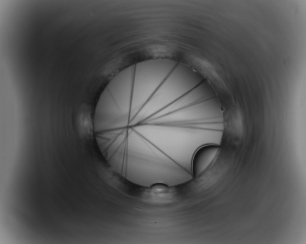 X0000099950622200805301237