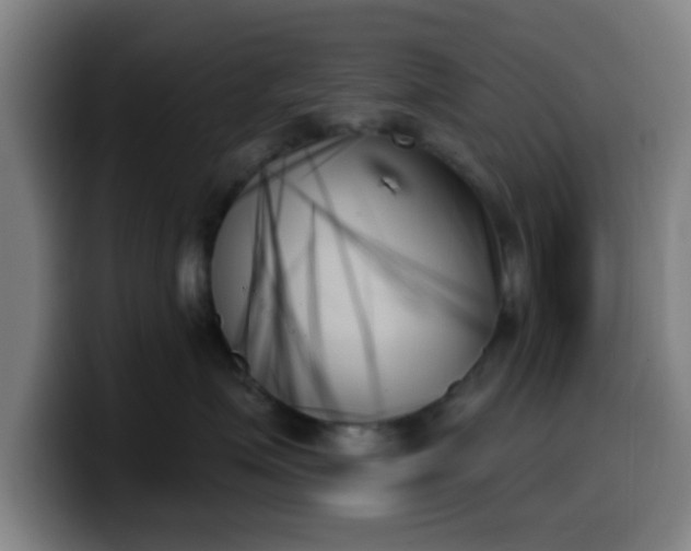 X0000099950623200805301237