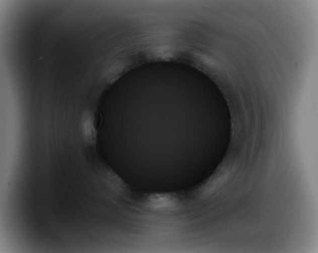X0000099950624200805301237