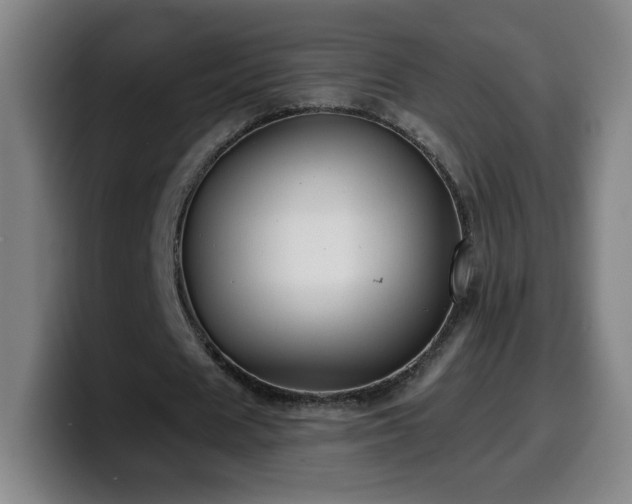 X0000099950625200805301237