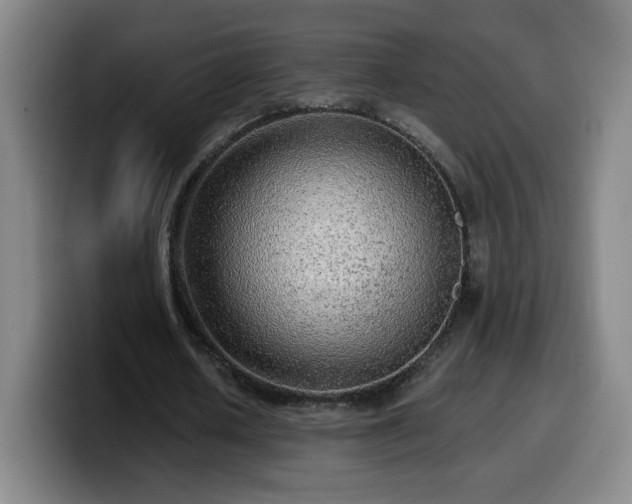 X0000099950626200805301237