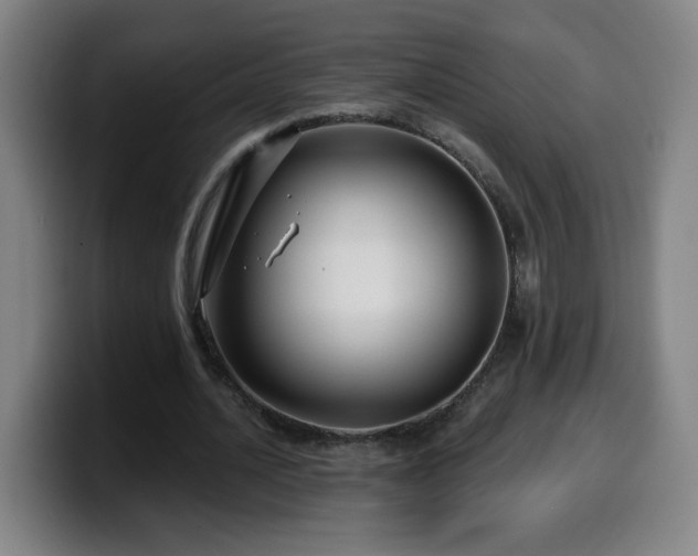 X0000099950628200805301237
