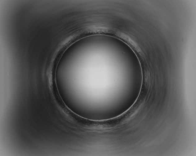 X0000099950629200805301237