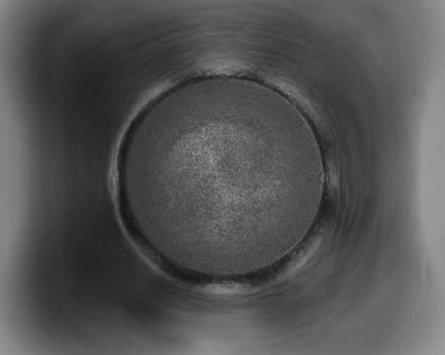 X0000099950630200805301237