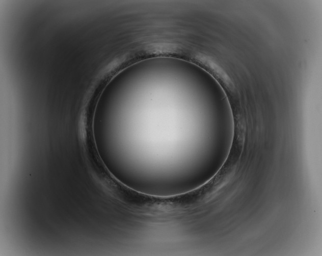 X0000099950631200805301237