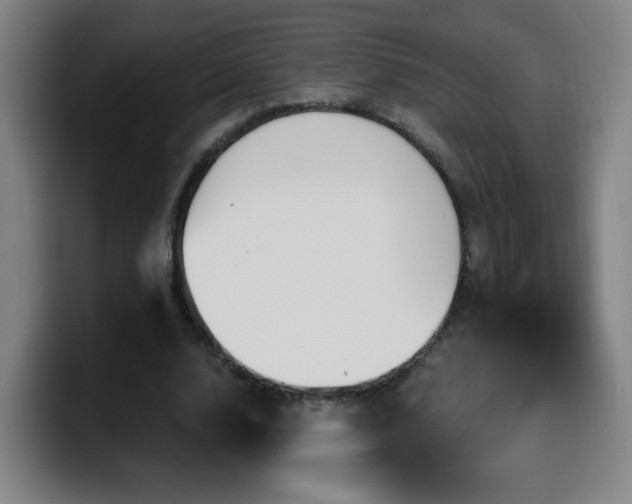 X0000099950632200805301237