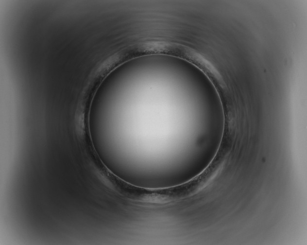 X0000099950633200805301237