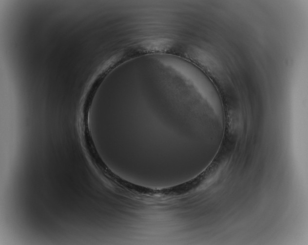 X0000099950634200805301237