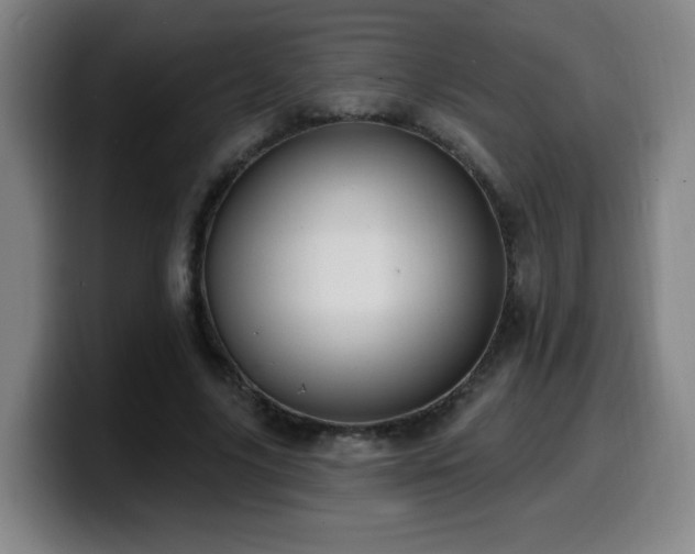 X0000099950635200805301237
