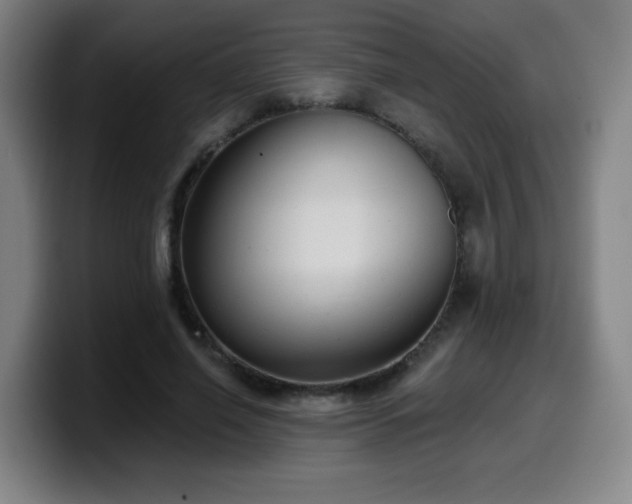 X0000099950638200805301237
