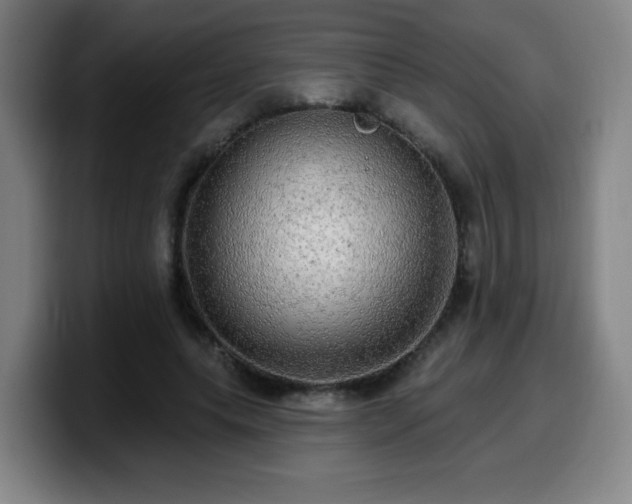 X0000099950639200805301237