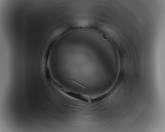 X0000099950640200805301237