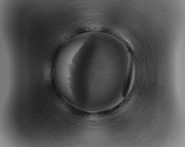 X0000099950641200805301237