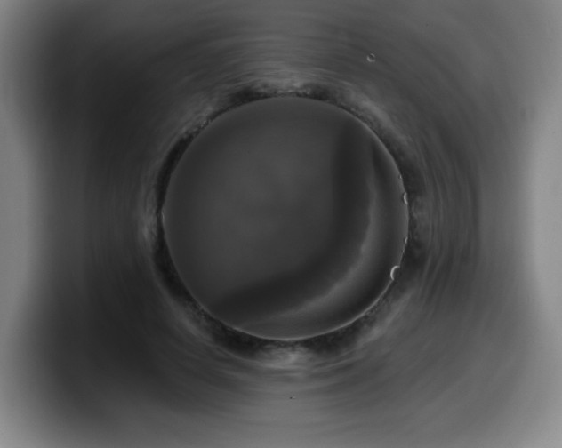 X0000099950642200805301237