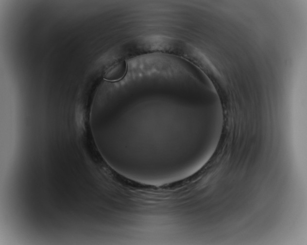 X0000099950643200805301237
