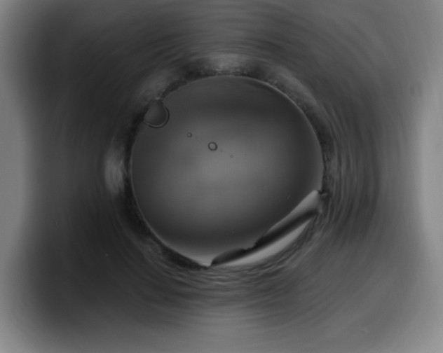 X0000099950644200805301237