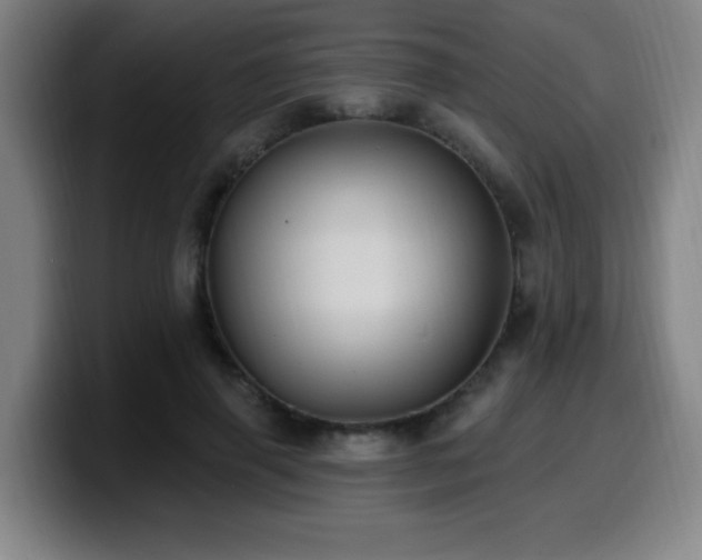 X0000099950645200805301237