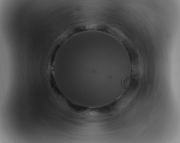 X0000099950648200805301237