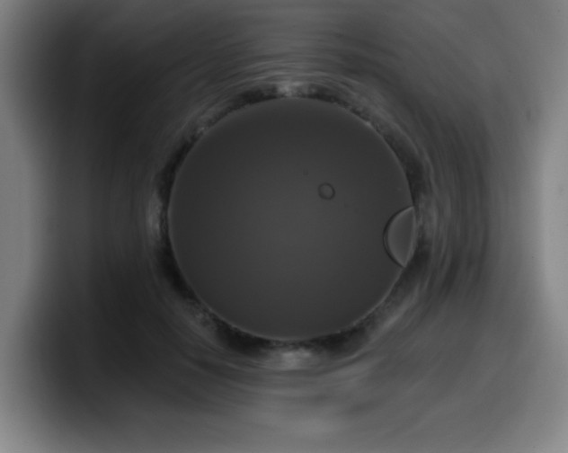X0000099950650200805301237