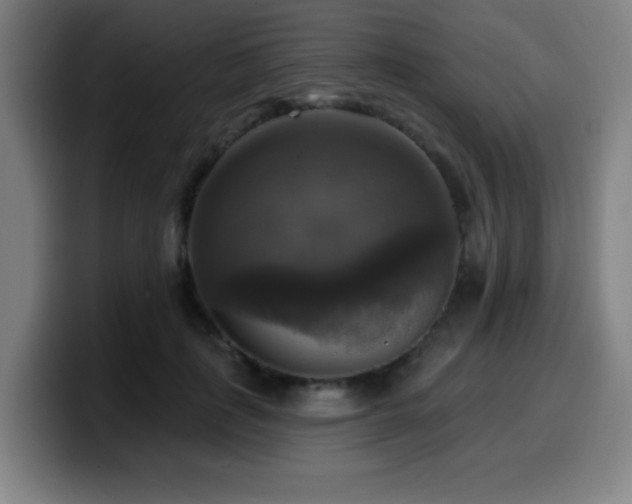 X0000099950651200805301237