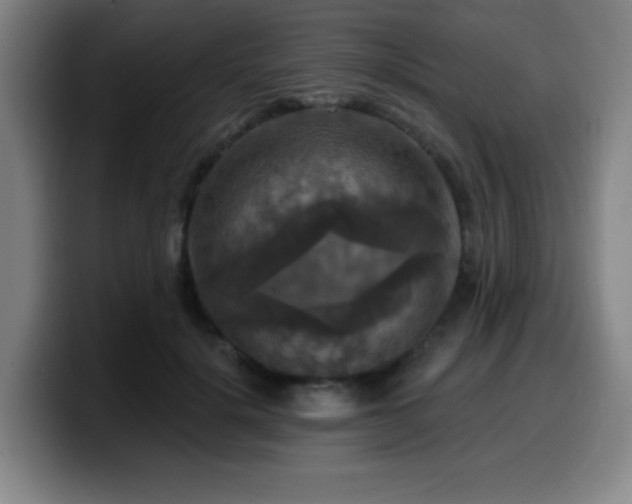 X0000099950652200805301237