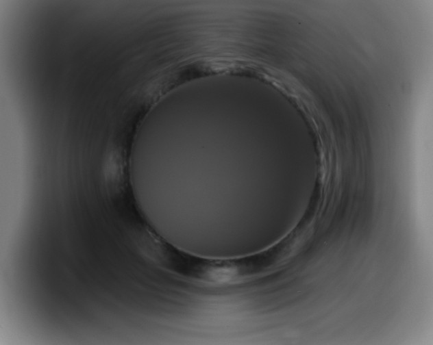 X0000099950653200805301237