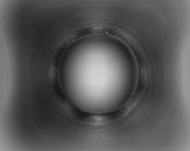 X0000099950654200805301237
