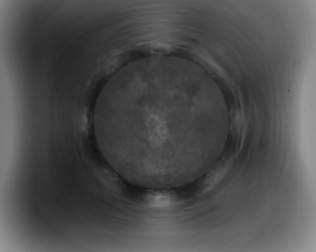 X0000099950655200805301237