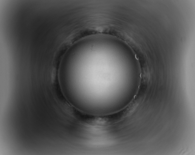 X0000099950656200805301237