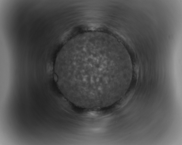 X0000099950657200805301237