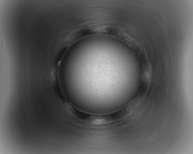 X0000099950658200805301237